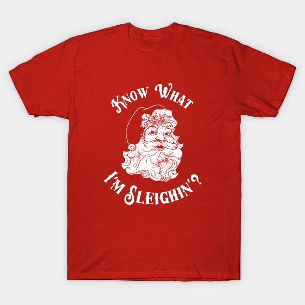 Know What I'm Sleighin'? T-Shirt by dumbshirts